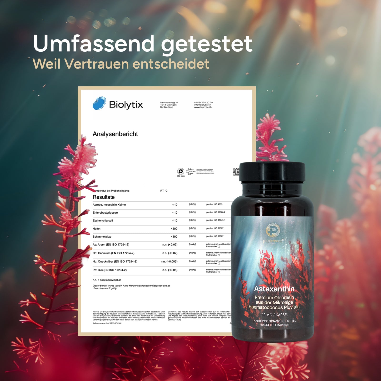 Labor Prüfberichte