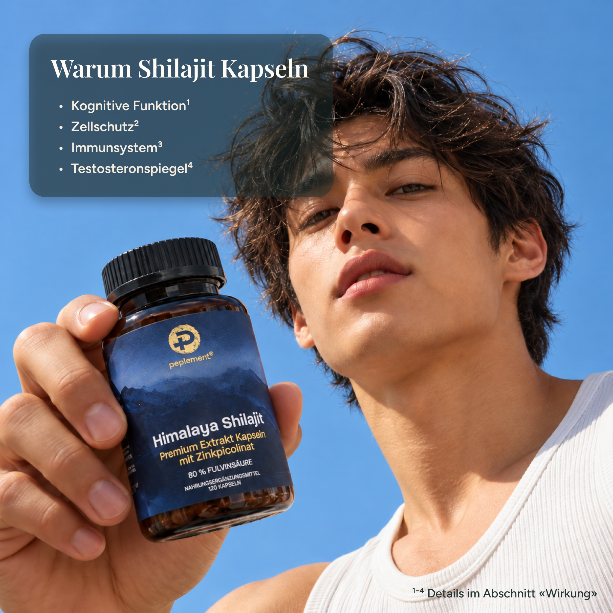 100 % reine Shilajit Kapseln – Premium Shilajit aus dem Himalaya