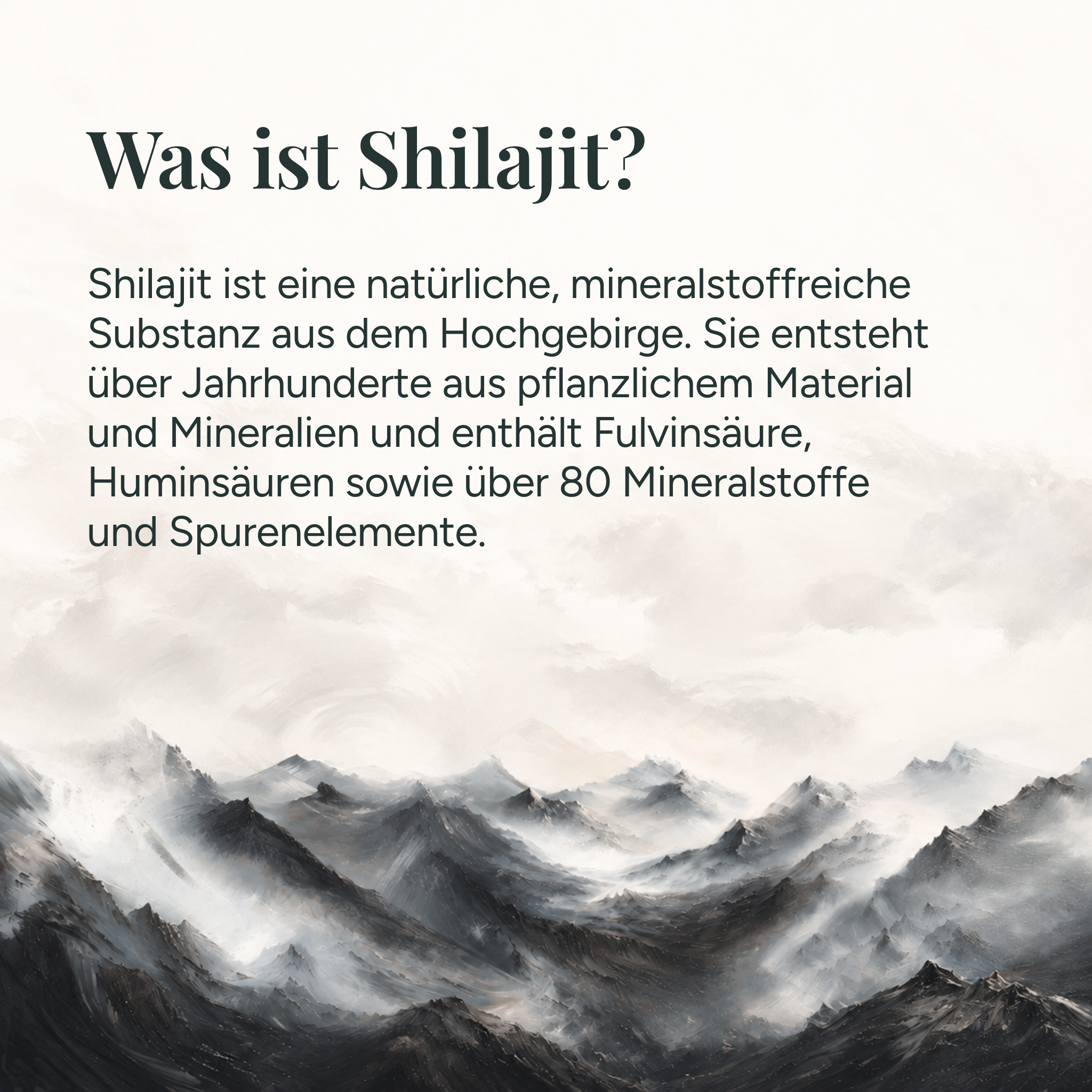 100 % reine Shilajit Kapseln – Premium Shilajit aus dem Himalaya