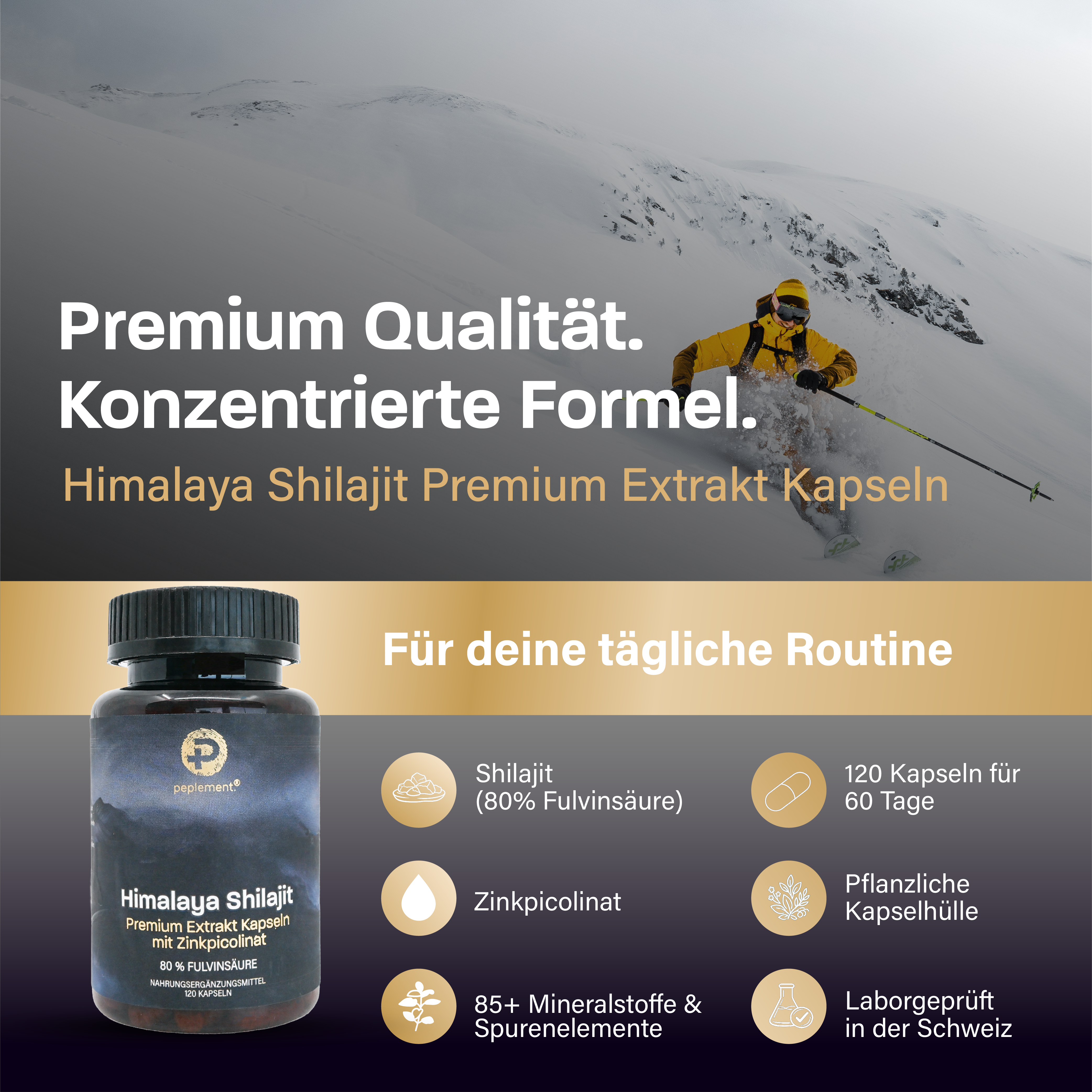 Anti-Stress Bundle - Shilajit, Vitalpilze & Ashwagandha