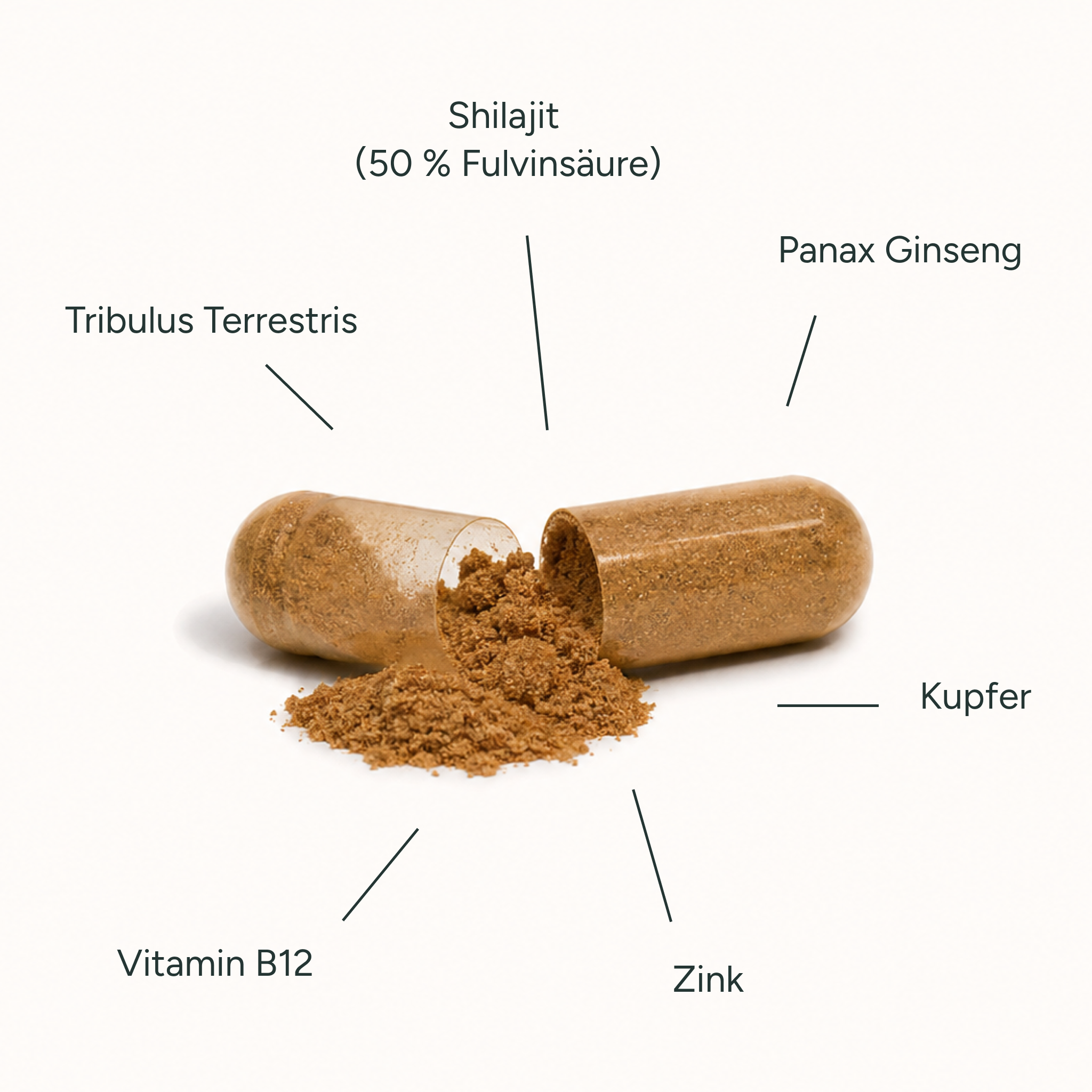 Shilajit plus+ Men's Edition - High Performance Complex